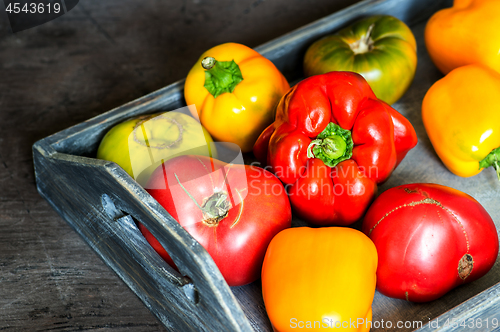 Image of Imperfect natural peppers and tomatoes on an old wooden tray on a dark background. Healthy eating concept.