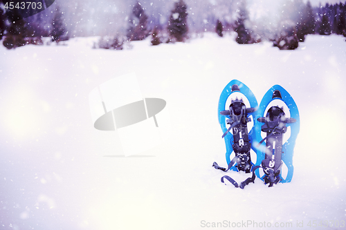 Image of Blue snowshoes in fresh show