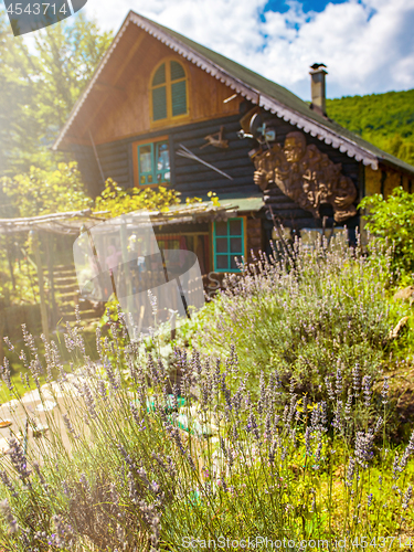 Image of wooden  cotage house