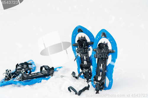 Image of Blue snowshoes in fresh show