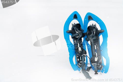 Image of Blue snowshoes in fresh show