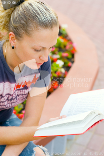 Image of woman reading in the park