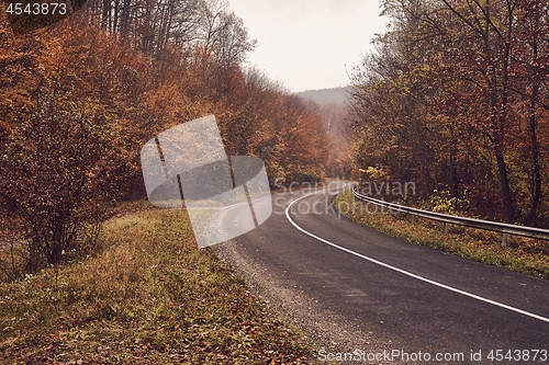 Image of Autumn road