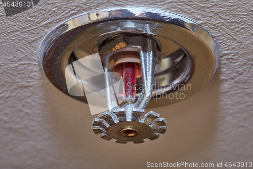 Image of Fire Safety Sprinkler
