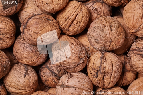 Image of Walnuts in a pile