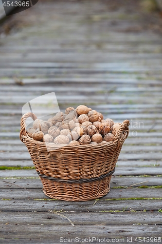Image of Walnuts in a basket
