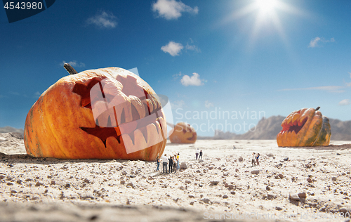 Image of Big pumpkin in desert at sunny day, sales and halloween concept