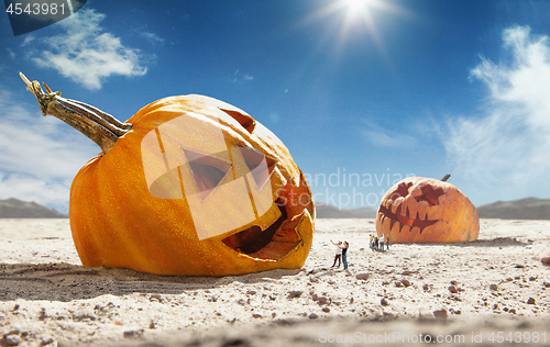 Image of Big pumpkin in desert at sunny day, sales and halloween concept