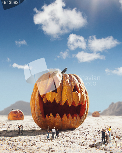 Image of Big pumpkin in desert at sunny day, sales and halloween concept