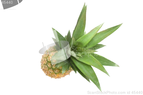 Image of Pineapple