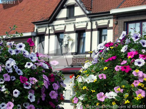 Image of House with flowers