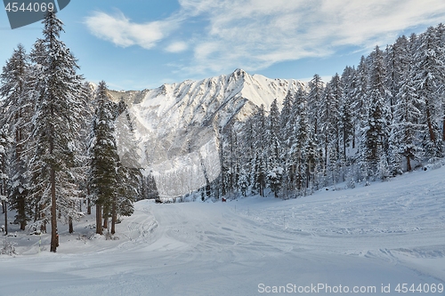 Image of Skiing slopes from the top