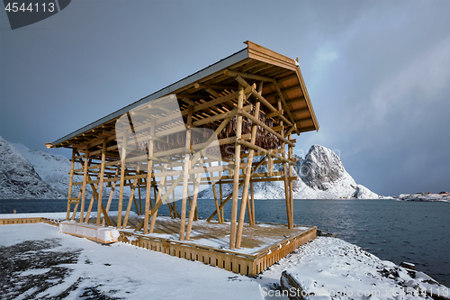 Image of Drying flakes for stockfish cod fish in winter. Lofoten islands,