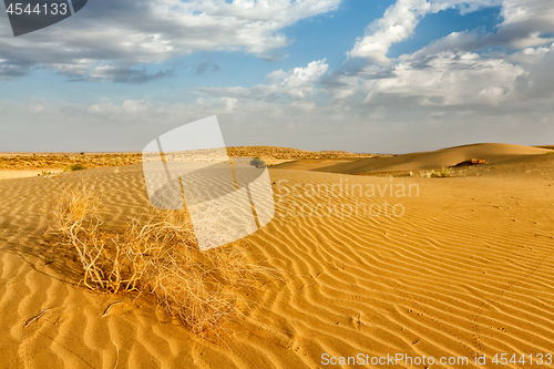 Image of Sand dunes in desert