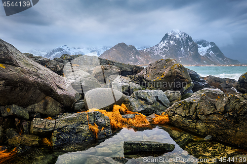 Image of Rocky coast of fjord in Norway