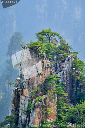 Image of Zhangjiajie mountains, China