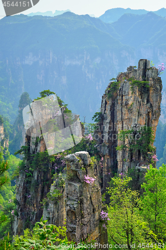 Image of Zhangjiajie mountains, China