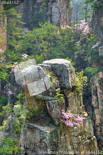 Image of Zhangjiajie mountains, China