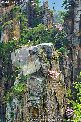 Image of Zhangjiajie mountains, China