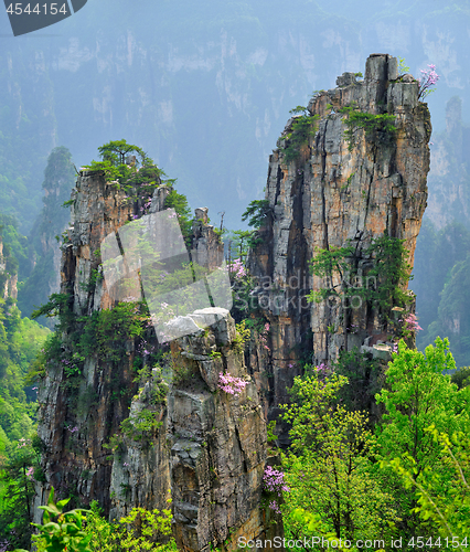 Image of Zhangjiajie mountains, China