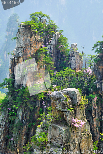 Image of Zhangjiajie mountains, China