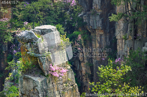 Image of Zhangjiajie mountains, China