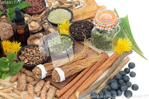 Image of Adaptogen Herbal Medicine and Food Selection