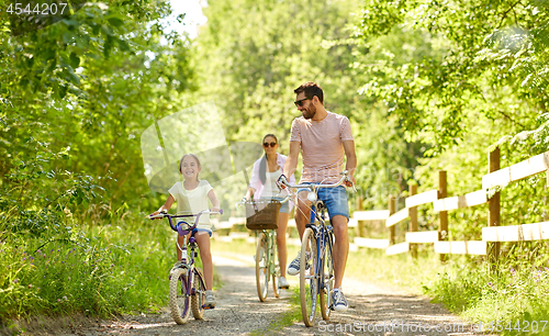 Image of happy family riding bicycles in summer park