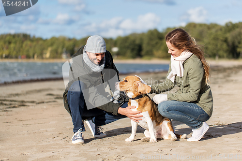 Image of happy couple with beagle dog on autumn beach