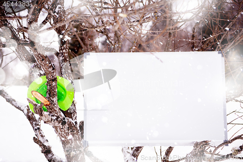 Image of whiteboard on winter tree