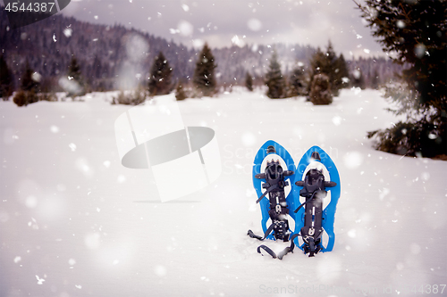 Image of Blue snowshoes in fresh show