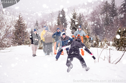 Image of group of young people having fun in beautiful winter landscape