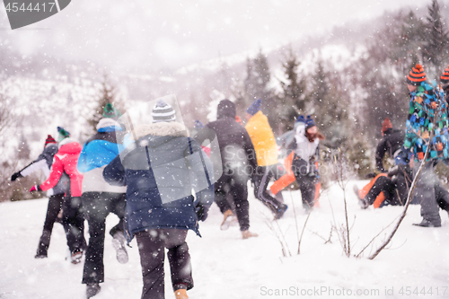 Image of group of young people having fun in beautiful winter landscape