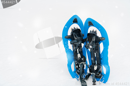 Image of Blue snowshoes in fresh show