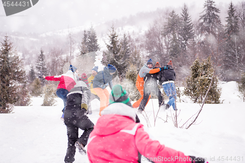 Image of group of young people having fun in beautiful winter landscape