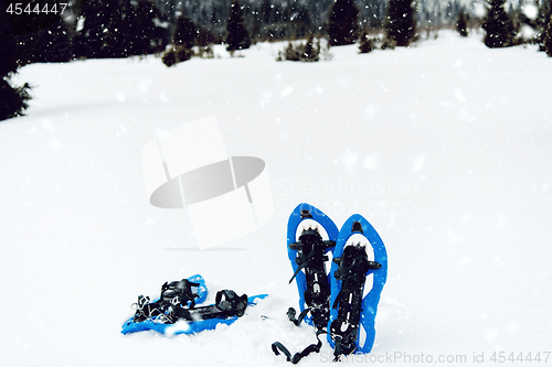 Image of Blue snowshoes in fresh show
