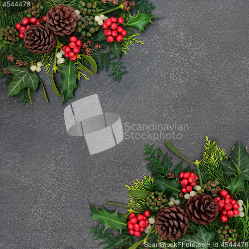 Image of Natural Winter Background Border