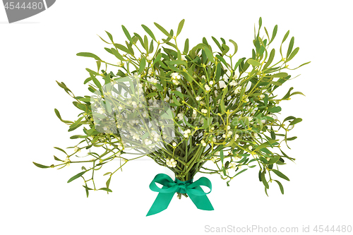 Image of Winter and Christmas Mistletoe