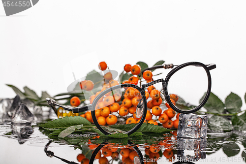 Image of Glasses, Ashberry And Ice