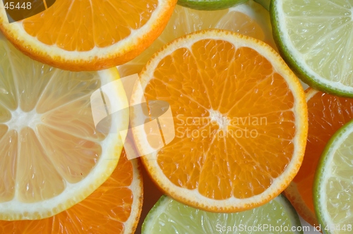 Image of Fruit Slices