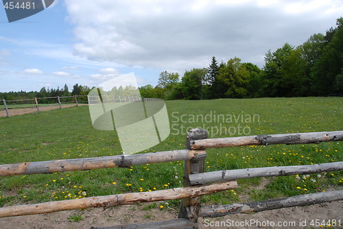 Image of Fenced in cow pasture