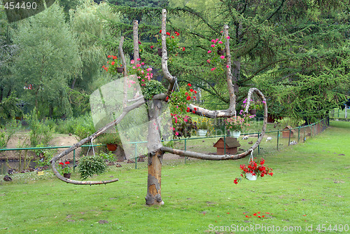 Image of flowers on tree