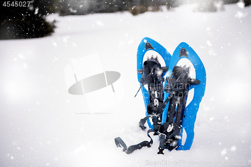 Image of Blue snowshoes in fresh show