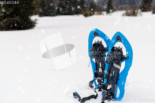 Image of Blue snowshoes in fresh show