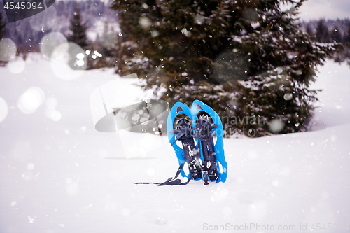 Image of Blue snowshoes in fresh show