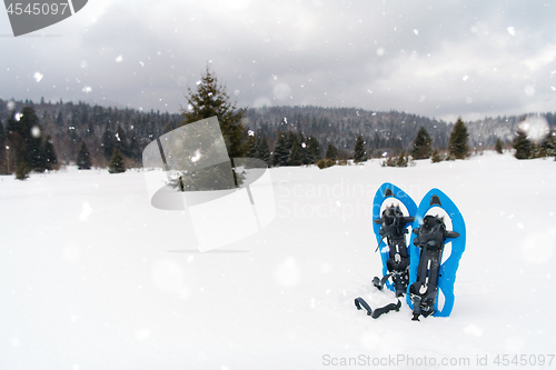 Image of Blue snowshoes in fresh show