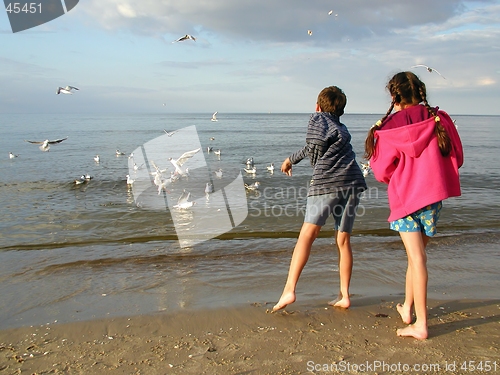 Image of Children Feeding Gulls