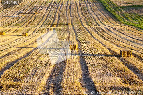 Image of Field harvested wheat crop