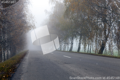 Image of asphalted road, autumn