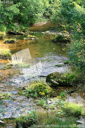 Image of Stream in the Green